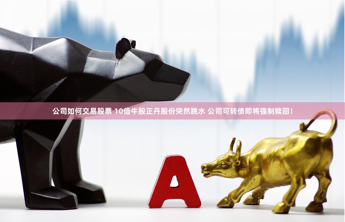 公司如何交易股票 10倍牛股正丹股份突然跳水 公司可转债即将强制赎回！
