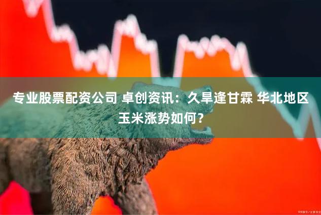 专业股票配资公司 卓创资讯：久旱逢甘霖 华北地区玉米涨势如何？