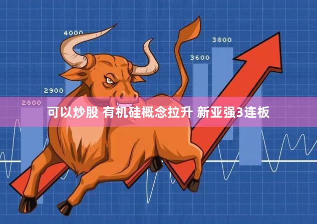 可以炒股 有机硅概念拉升 新亚强3连板