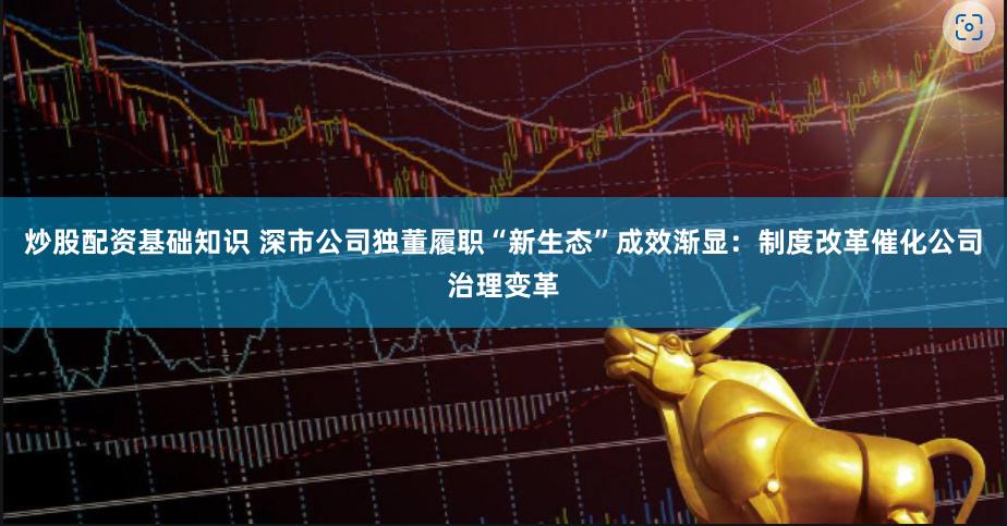 炒股配资基础知识 深市公司独董履职“新生态”成效渐显：制度改革催化公司治理变革