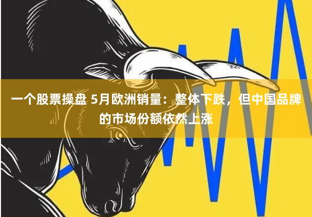 一个股票操盘 5月欧洲销量：整体下跌，但中国品牌的市场份额依然上涨