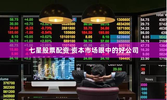 七星股票配资 资本市场眼中的好公司