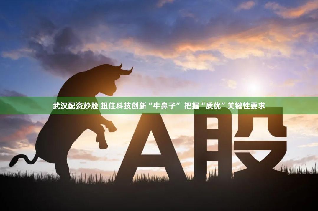武汉配资炒股 扭住科技创新“牛鼻子” 把握“质优”关键性要求