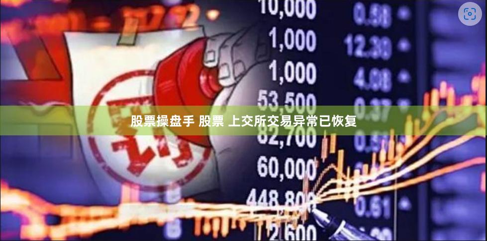 股票操盘手 股票 上交所交易异常已恢复